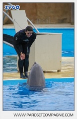 Marineland - Dauphins - Spectacle 17h45 - 2914