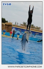 Marineland - Dauphins - Spectacle 17h45 - 2915