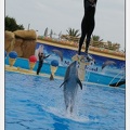 Marineland - Dauphins - Spectacle 17h45 - 2915