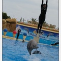 Marineland - Dauphins - Spectacle 17h45 - 2916
