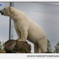 Marineland - Ours polaires - les animaux - 3031