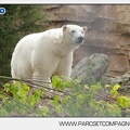 Marineland - Ours polaires - les animaux - 3149