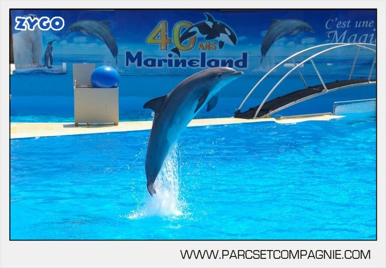 Marineland_-_Dauphins_-_Spectacle_de_13h00_-_3344.jpg