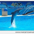 Marineland - Dauphins - Spectacle de 13h00 - 3344