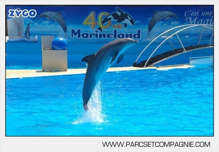 Marineland - Dauphins - Spectacle de 13h00 - 3344