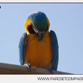Marineland - Rapaces - Perroquets - 3645