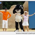 Marineland - Dauphins - Spectacle - 14h30 - 3708