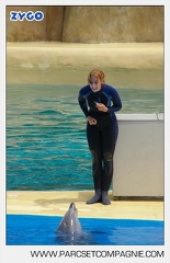 Marineland - Dauphins - Spectacle - 14h30 - 3710