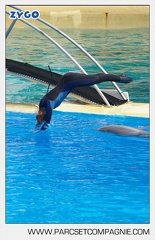 Marineland - Dauphins - Spectacle - 14h30 - 3711