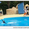 Marineland - Dauphins - Spectacle - 14h30 - 3712