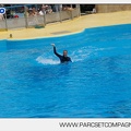 Marineland - Dauphins - Spectacle - 14h30 - 3713
