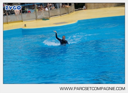 Marineland - Dauphins - Spectacle - 14h30 - 3713