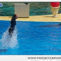 Marineland - Dauphins - Spectacle - 14h30 - 3714