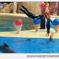 Marineland - Dauphins - Spectacle - 14h30 - 3715