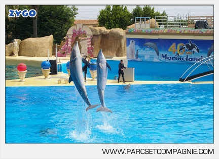 Marineland - Dauphins - Spectacle - 14h30 - 3716