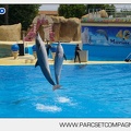 Marineland - Dauphins - Spectacle - 14h30 - 3717