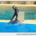 Marineland - Dauphins - Spectacle - 14h30 - 3718