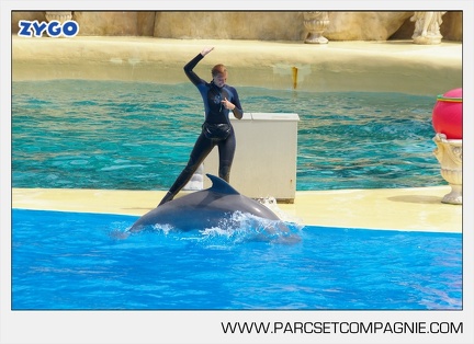 Marineland - Dauphins - Spectacle - 14h30 - 3718