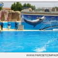 Marineland - Dauphins - Spectacle - 14h30 - 3719