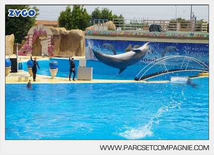Marineland - Dauphins - Spectacle - 14h30 - 3719