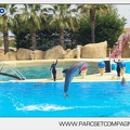 Marineland - Dauphins - Spectacle - 14h30 - 3720