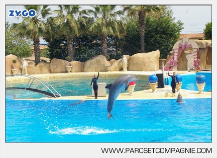 Marineland - Dauphins - Spectacle - 14h30 - 3720