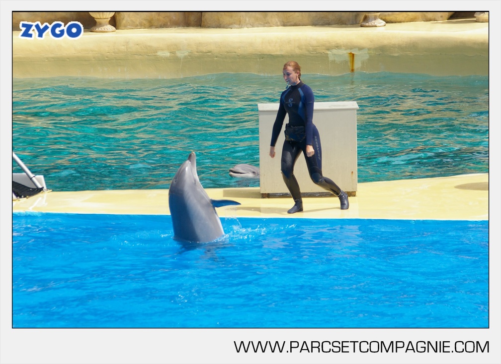 Marineland - Dauphins - Spectacle - 14h30 - 3721
