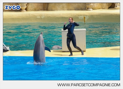 Marineland - Dauphins - Spectacle - 14h30 - 3722