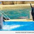 Marineland - Dauphins - Spectacle - 14h30 - 3723
