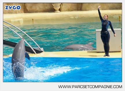 Marineland - Dauphins - Spectacle - 14h30 - 3723