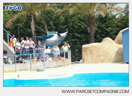 Marineland - Dauphins - Spectacle - 14h30 - 3724