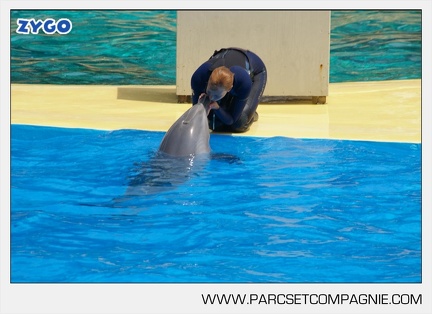 Marineland - Dauphins - Spectacle - 14h30 - 3725