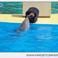 Marineland - Dauphins - Spectacle - 14h30 - 3726