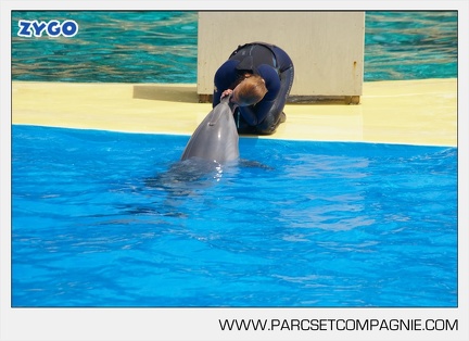 Marineland - Dauphins - Spectacle - 14h30 - 3726