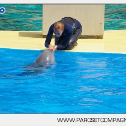 Marineland - Dauphins - Spectacle - 14h30