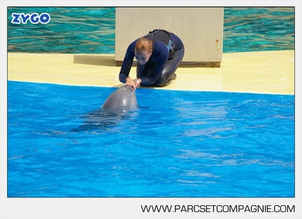Marineland - Dauphins - Spectacle - 14h30 - 3727