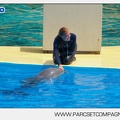 Marineland - Dauphins - Spectacle - 14h30 - 3728