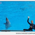 Marineland - Dauphins - Spectacle - 14h30 - 3729