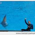 Marineland - Dauphins - Spectacle - 14h30 - 3730