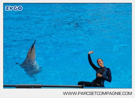Marineland - Dauphins - Spectacle - 14h30 - 3730