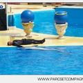Marineland - Dauphins - Spectacle - 14h30 - 3731