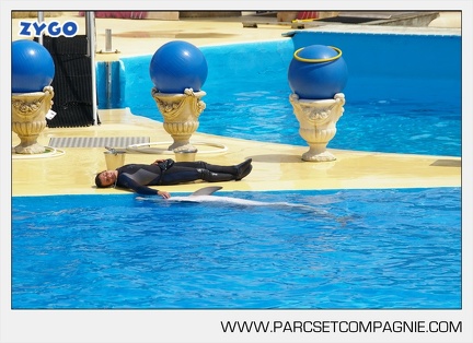 Marineland - Dauphins - Spectacle - 14h30 - 3731