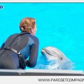 Marineland - Dauphins - Spectacle - 14h30 - 3732
