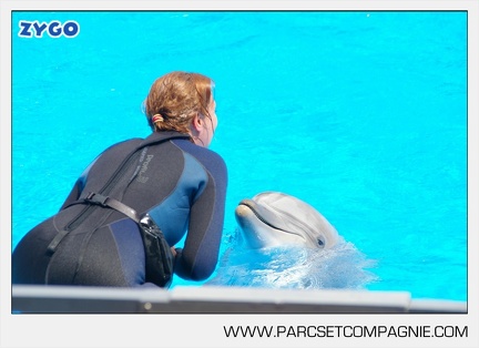 Marineland - Dauphins - Spectacle - 14h30 - 3732