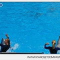 Marineland - Dauphins - Spectacle - 14h30 - 3733
