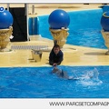 Marineland - Dauphins - Spectacle - 14h30 - 3734
