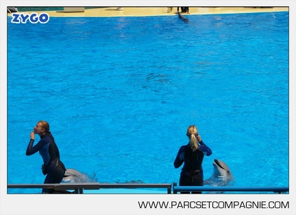 Marineland - Dauphins - Spectacle - 14h30 - 3735