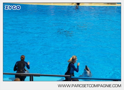 Marineland - Dauphins - Spectacle - 14h30 - 3736