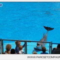 Marineland - Dauphins - Spectacle - 14h30 - 3737