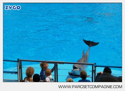 Marineland - Dauphins - Spectacle - 14h30 - 3737